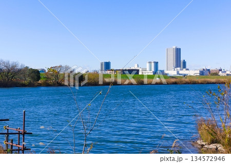 千葉県松戸市矢切の渡し周辺2025年12月 134572946