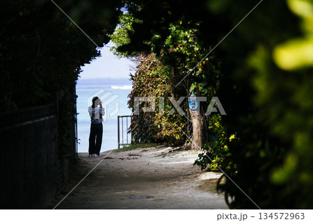 海へと続く道 134572963