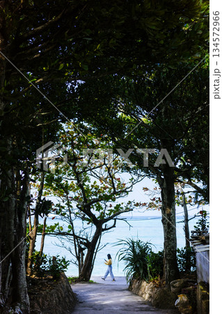 海へと続く道 134572966