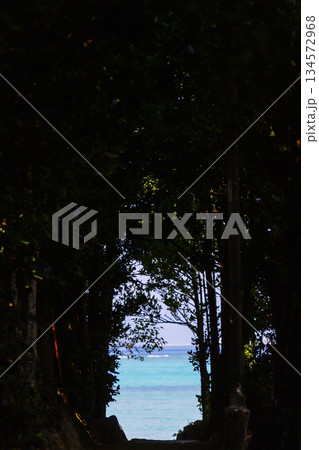 海へと続く道 海へと続く道 134572968