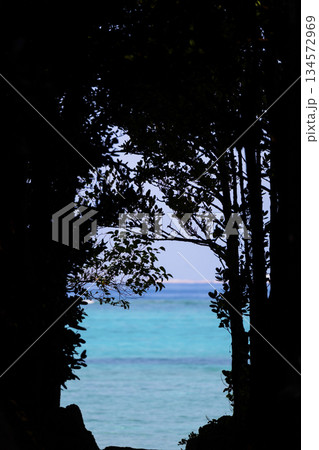 海へと続く道 134572969