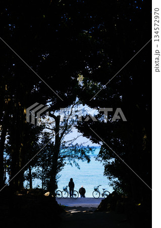 海へと続く道 134572970