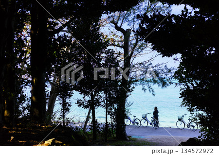 海へと続く道 134572972