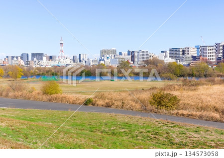 江戸川越しに見る千葉県松戸市松戸駅周辺2025年12月 134573058