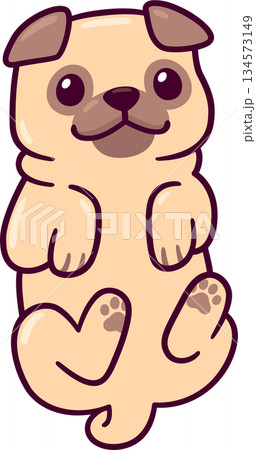 Cute cartoon pug lying on its back asking for belly rubs 134573149