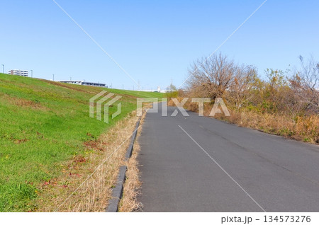 東京都葛飾区江戸川サイクリングロード2025年12月 東京都葛飾区江戸川サイクリングロード2025年12月 134573276