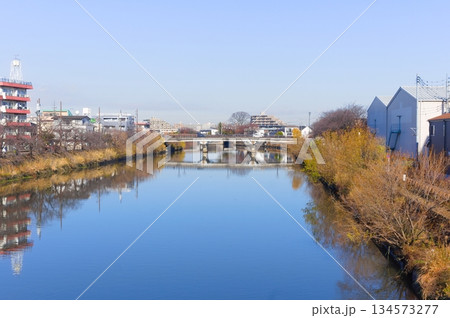 埼玉県草加市綾瀬川2025年12月 134573277