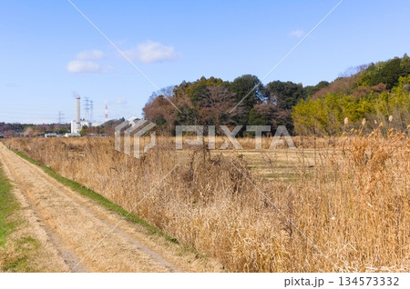 千葉県野田市清掃工場周辺2025年12月 千葉県野田市清掃工場周辺2025年12月 134573332