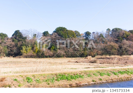 千葉県野田市清掃工場周辺2025年12月 134573334