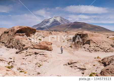 Hiker walking in arid volcanic landscape near Volcan Uturuncu, Bolivia 134573513