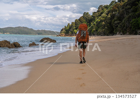 Hiker with backpack walking on golden sand beach, Abel Tasman National Park 134573527