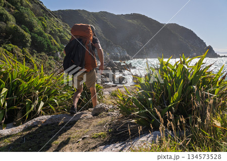 Hiker backpacking on rocky coastal track with native flax, Abel Tasman, NZ Hiker backpacking on rocky coastal track with native flax, Abel Tasman, NZ 134573528