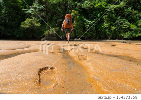 Barefoot hiker leaving footprints on wet sand, Abel Tasman, NZ Barefoot hiker leaving footprints on wet sand, Abel Tasman, NZ 134573559
