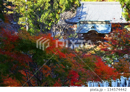 浜松市の方広寺の本堂と紅葉の秋 134574442