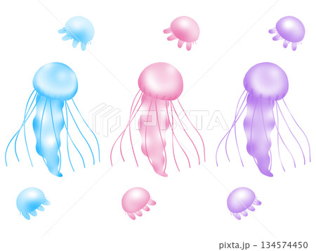 泳ぐクラゲ色違いセット 134574450