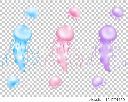 泳ぐクラゲ色違いセット 134574450