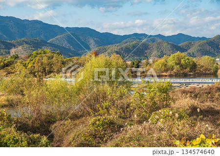冬の桂川風景　京都市 134574640