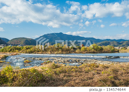 冬の桂川風景　二ノ井堰　京都市 134574644