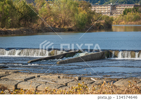 冬の桂川風景 二ノ井堰 京都市 冬の桂川風景 二ノ井堰 京都市 134574646