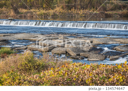 冬の桂川風景　二ノ井堰　京都市 134574647