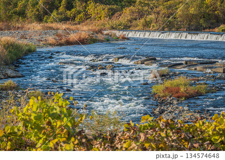 冬の桂川風景 二ノ井堰 京都市 冬の桂川風景 二ノ井堰 京都市 134574648