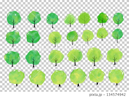 水彩の木のイラスト素材　イラストセット 134574942
