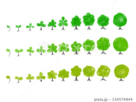 手書きの新芽のイラストセット 134574944