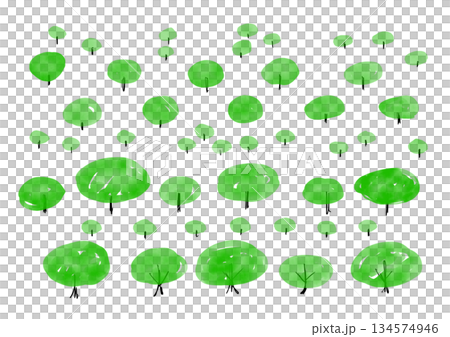 手書きの横長の木のイラストセット 134574946