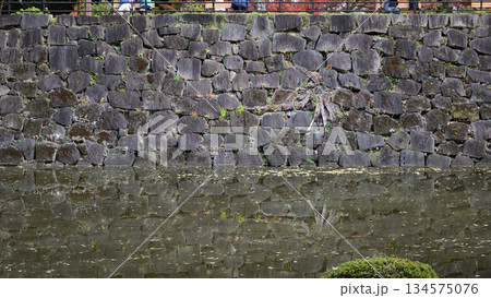 江戸城の城郭を残す日比谷見附跡と心字池、日比谷公園にて 134575076