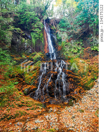 紅葉が美しい天神の滝（山口市徳地鯖河内） 134575122
