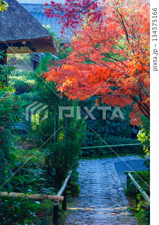 光悦寺_3933 134575166