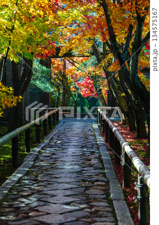 光悦寺_4126 134575167