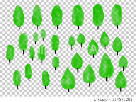 水彩樹手繪插圖套裝 134575292