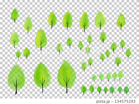 彩色樹木水彩插畫集 134575293