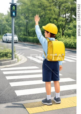 横断歩道を渡る小学生 134575402