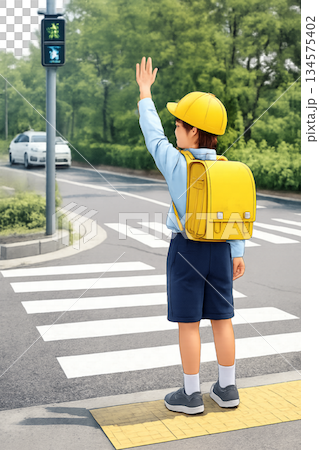 Elementary school student crossing a pedestrian crossing 134575402