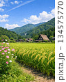 夏の白川郷の合掌造りと民家 134575770