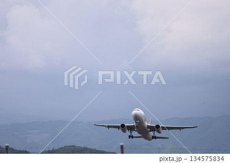 台北に向け大空を飛ぶエアバス320旅客機 134575834