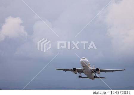 高知龍間空港を離陸する旅客機 134575835