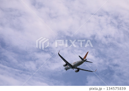 大空を飛ぶエアバス旅客機 大空を飛ぶエアバス旅客機 134575839