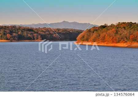 早朝の狭山湖　朝焼け　湖畔からの眺め 134576064