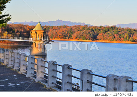 早朝の狭山湖 山並 取水塔 朝焼け 湖畔からの眺め 早朝の狭山湖 山並 取水塔 朝焼け 湖畔からの眺め 134576433