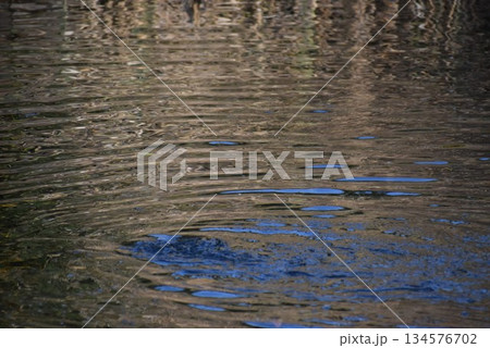 水面に生じるさざ波を基調としたオレンジ系の背景素材 134576702