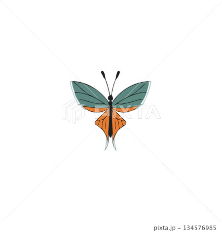 Delicate butterfly illustration featuring teal and orange wings in a minimalist style design on 134576985