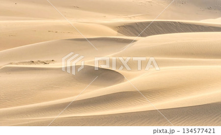Natural ripples create an abstract windblown pattern across the textured sand dunes of a hot arid Sahara desert landscape 134577421