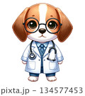 白衣を着た医師のビーグルキャラクター 水彩風イラスト｜動物病院・医療のワンポイント素材3 134577453