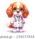白衣を着た医師のビーグルキャラクター 水彩風イラスト｜動物病院・医療のワンポイント素材2 134577454