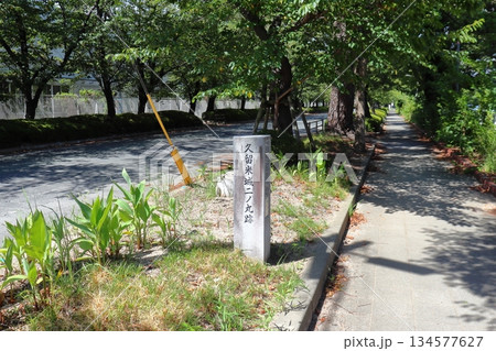 久留米城二ノ丸跡の通り 久留米城二ノ丸跡の通り 134577627