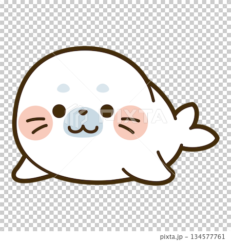 かわいいアザラシのイラスト 134577761