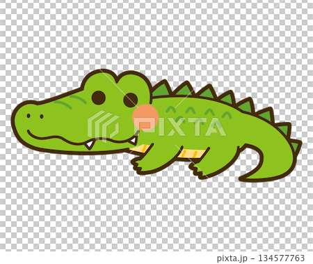 可愛的鱷魚圖 134577763